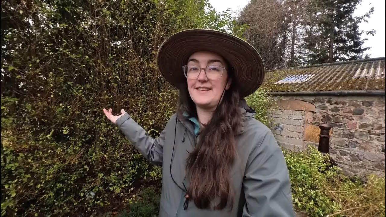 Signs of SPRING & chatting with you // life in Scotland vlog