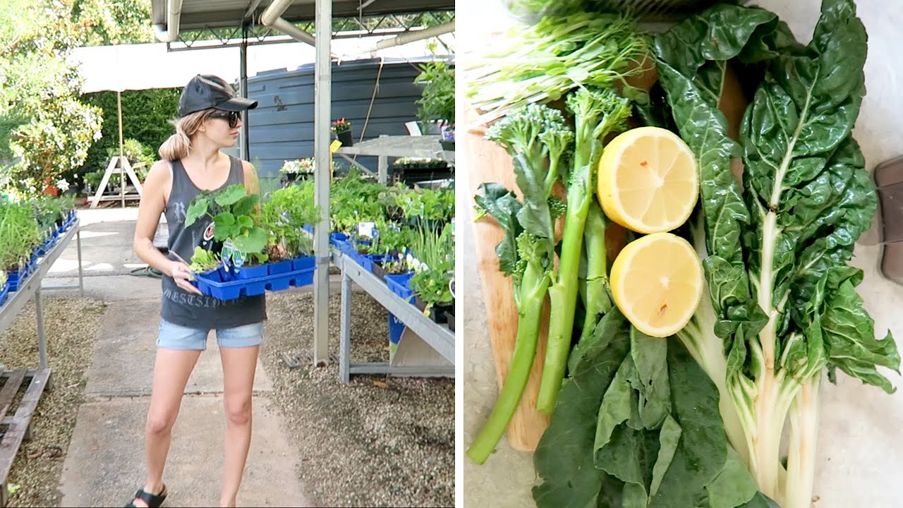 Juice Recipes + NEW VEGAN GOODIES + Planting my Garden 🌻🌿