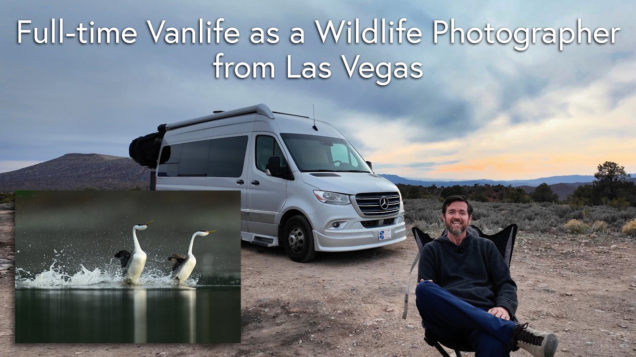 Full-time Vanlife as a Wildlife Photographer - from Las Vegas