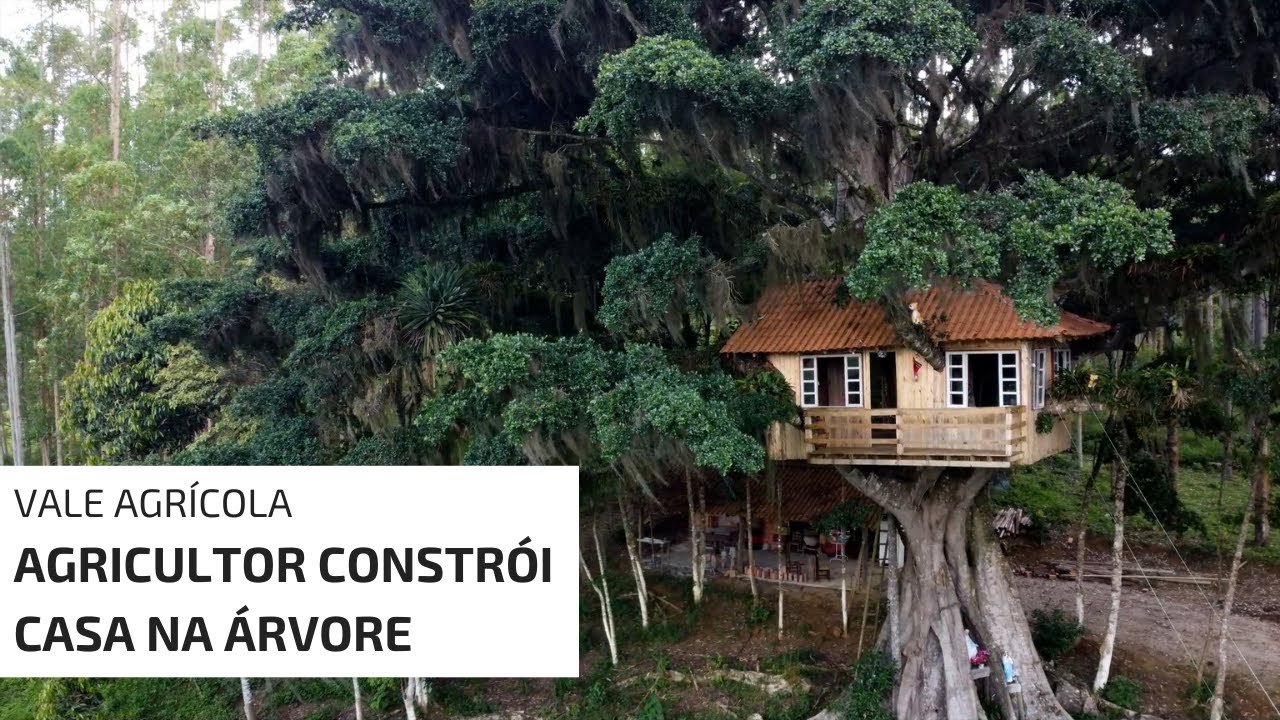 AGRICULTOR CONSTRÓI CASA NA ÁRVORE SOZINHO!  🥰🥰
