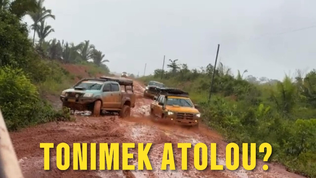GUI TONIMEK ATOLOU? ACF VAZOU...