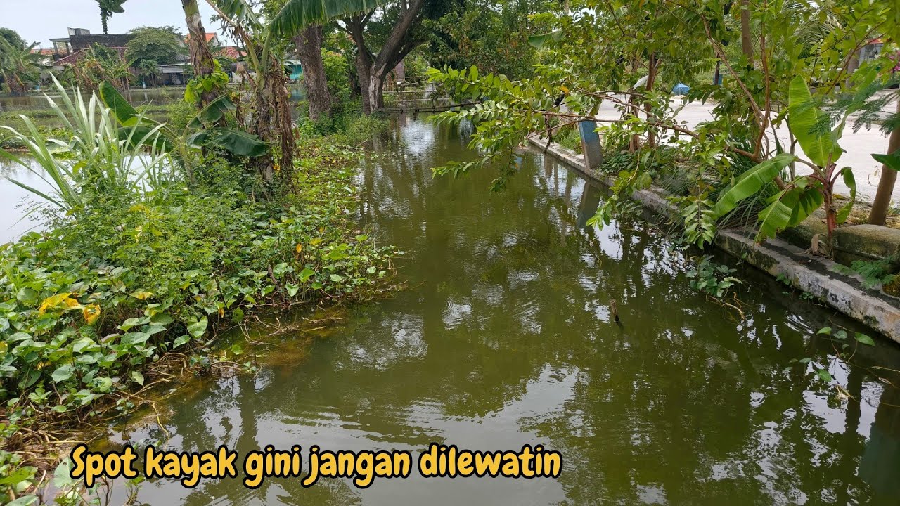 rejeki nemu spot mancing bagus disini !! 