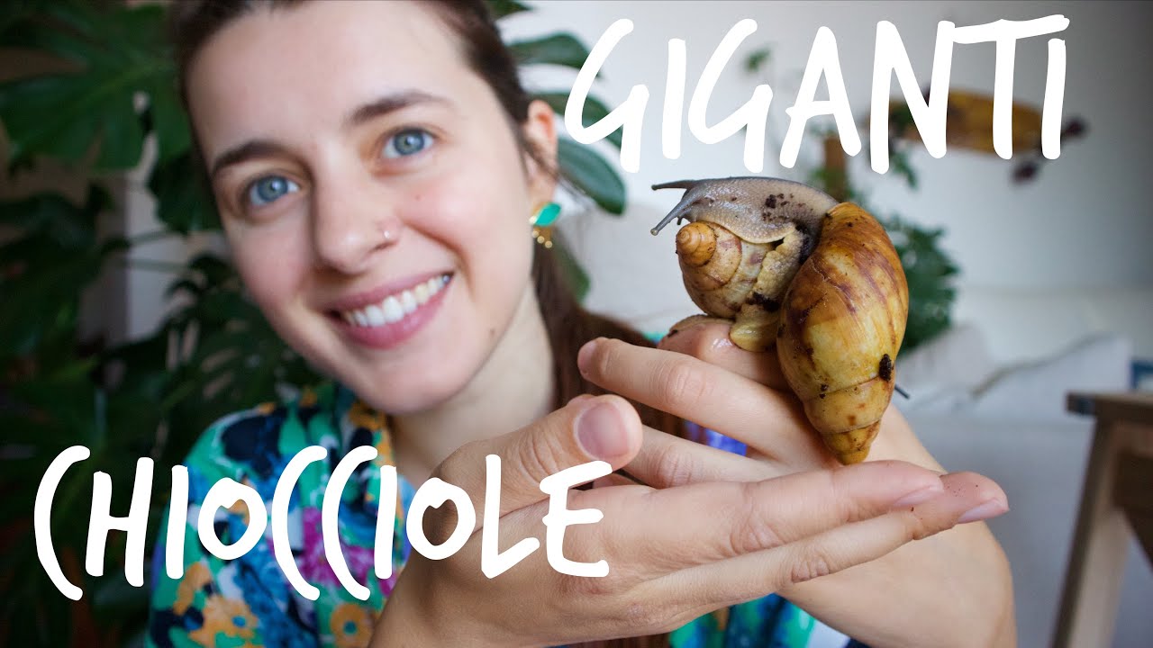 CHIOCCIOLE GIGANTI🐌Cura