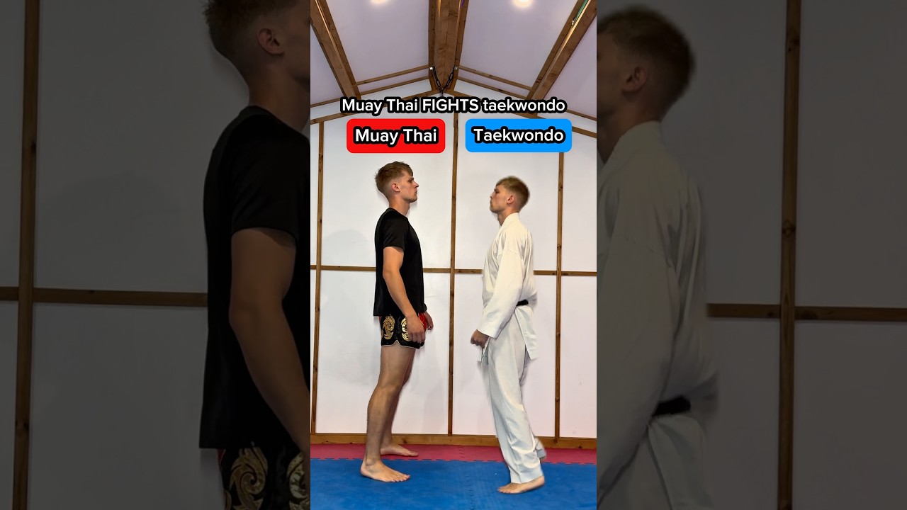 Muay Thai FIGHTS taekwondo&hellip;