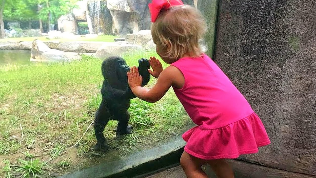 When Your Baby Visits the Zoo for the First Time 🦁 Baby and Animals 