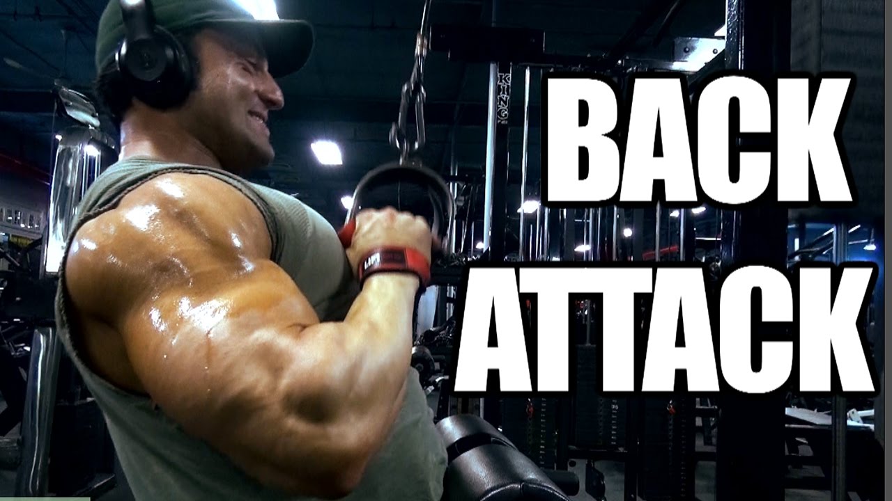 BACK ATTACK | Arash Rahbar | Training
