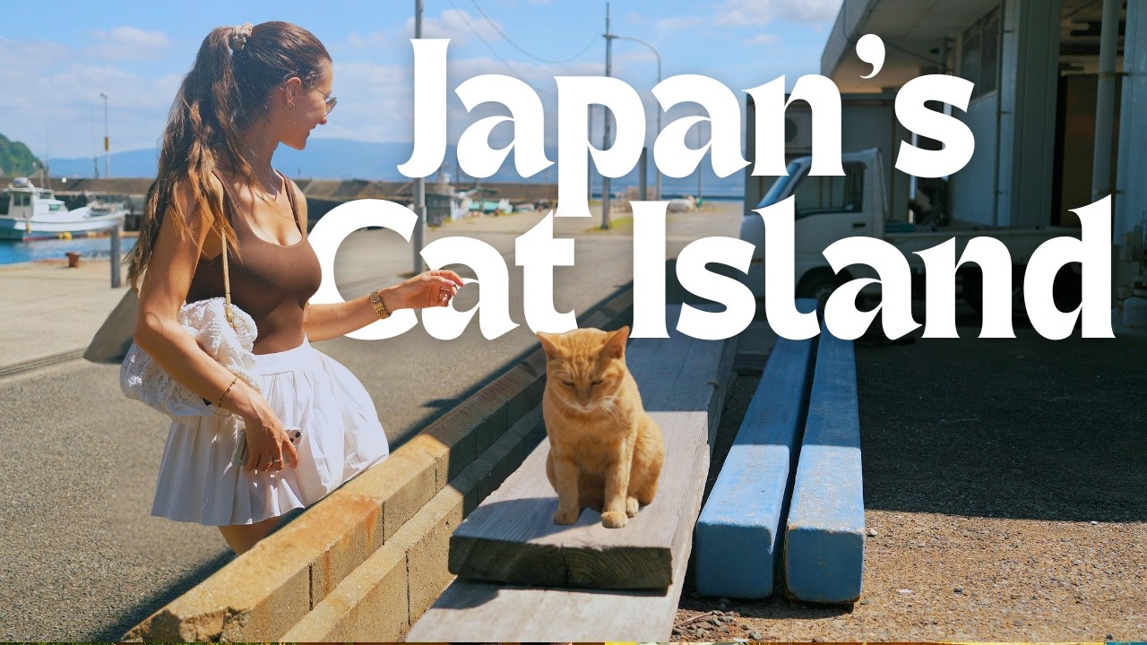 Видеоблог из Фукуоки 🇯🇵 | Остров кошек Айносима, тур по местам, где подают матчу и рамен | Lifeof...
