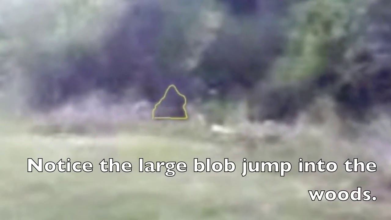 Little kid Dancing, Bigfoot watching