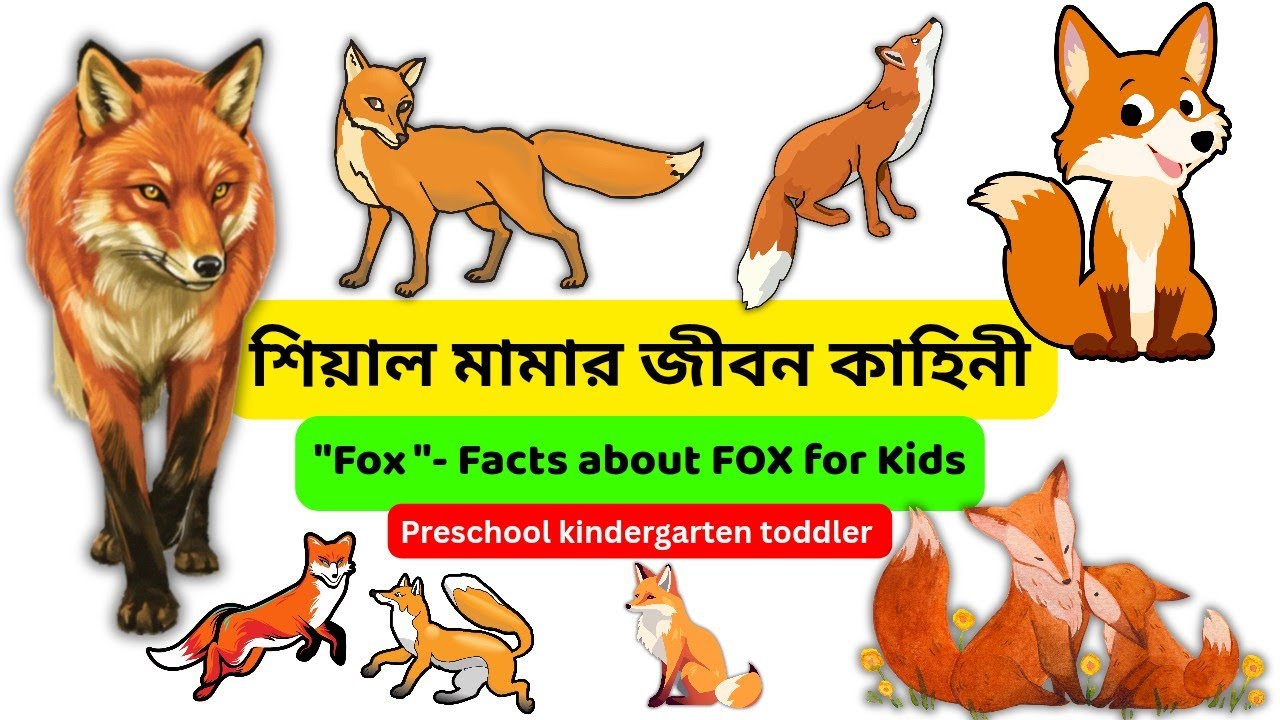🦊 শিয়াল মামার পাঠশালা | Fox Facts for Kids in Bengali | Amazing Fox Story for Children