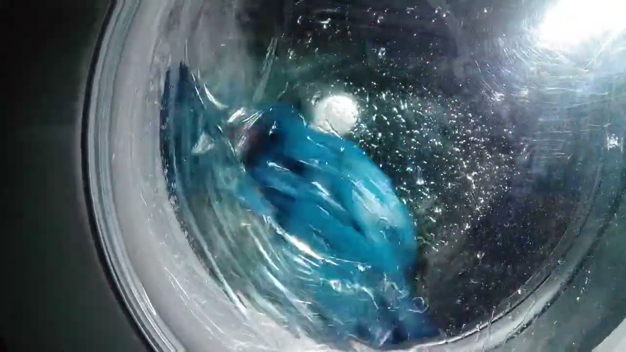 Wash | Rinse 1 | Drain | Final Rinse 2 | Final Spin......