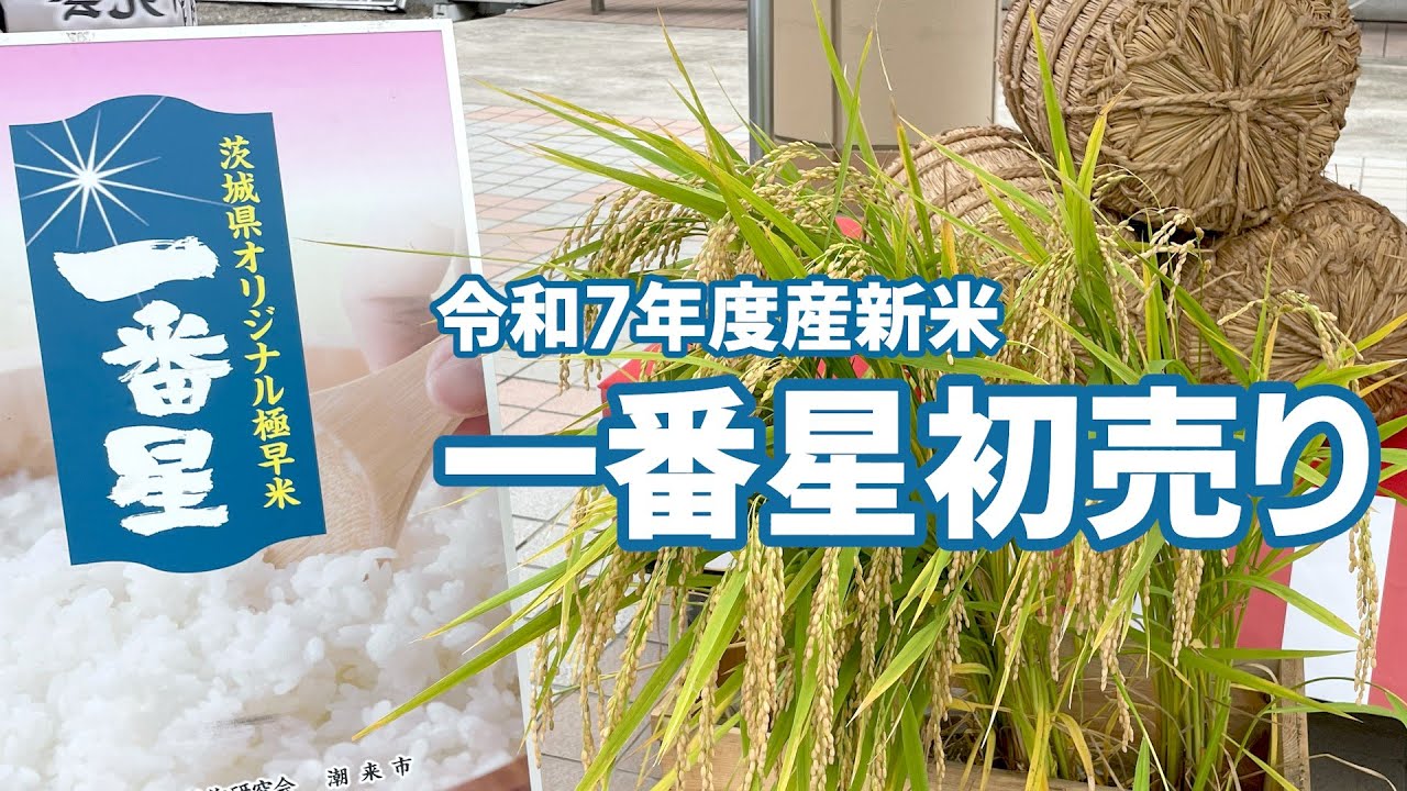 令和7年産新米　一番星初売り　～道の駅いたこ～