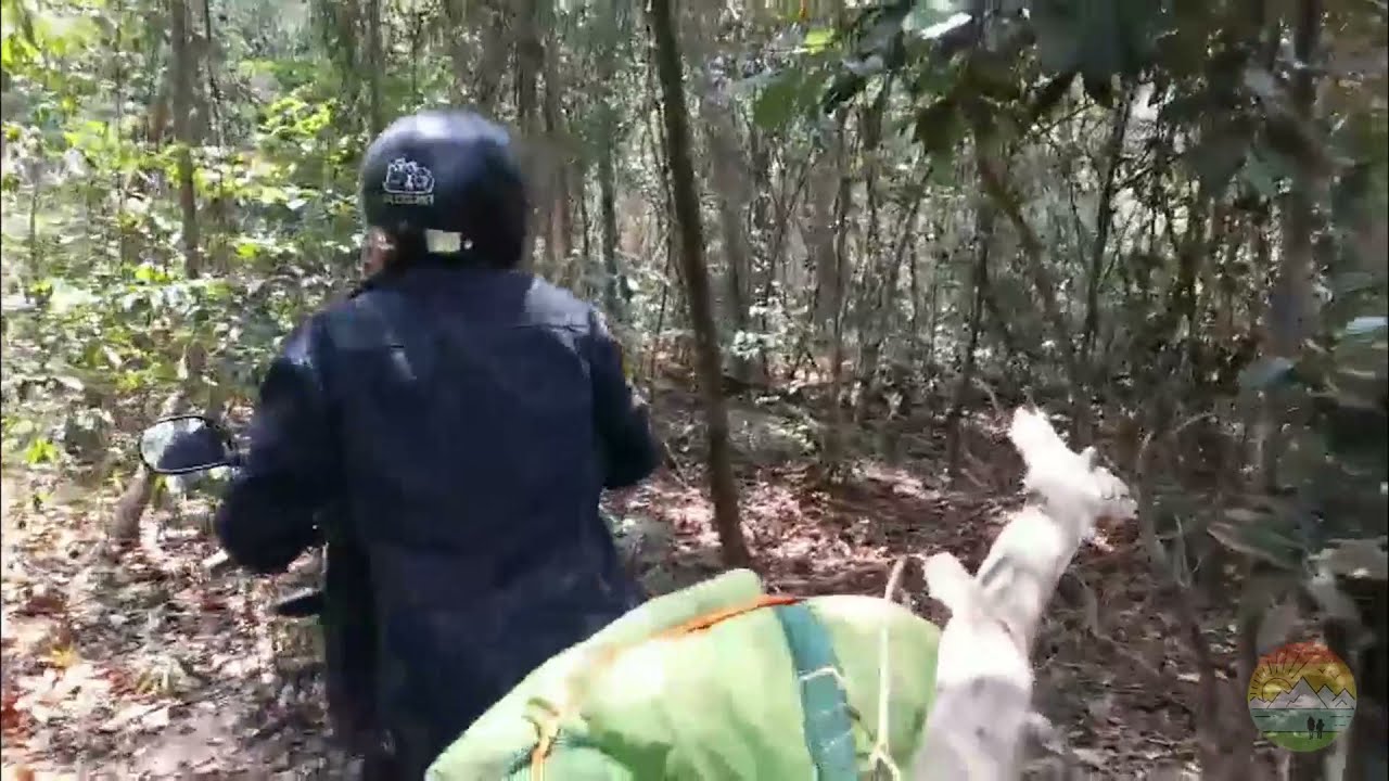 GD110 Băng Rừng V&agrave; C&aacute;i Kết | Natuhai Trip