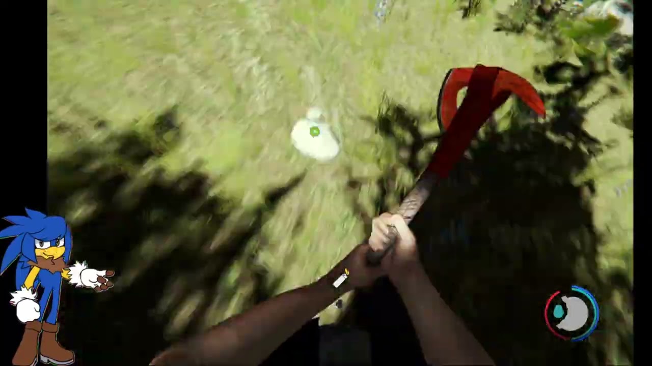 vod the forest 27/02/2026