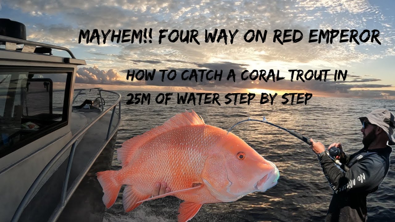 FOUR WAY HOOKUP ON REDEMPEROR - CATCHING CORAL TROUT IN 20M