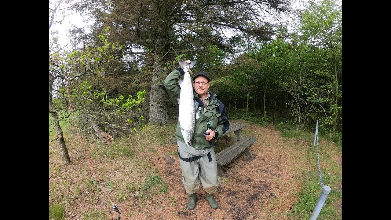 Per Hansen med Laks på 85 cm 5,6 kg ved VARDE Å - Afiskeri.dk