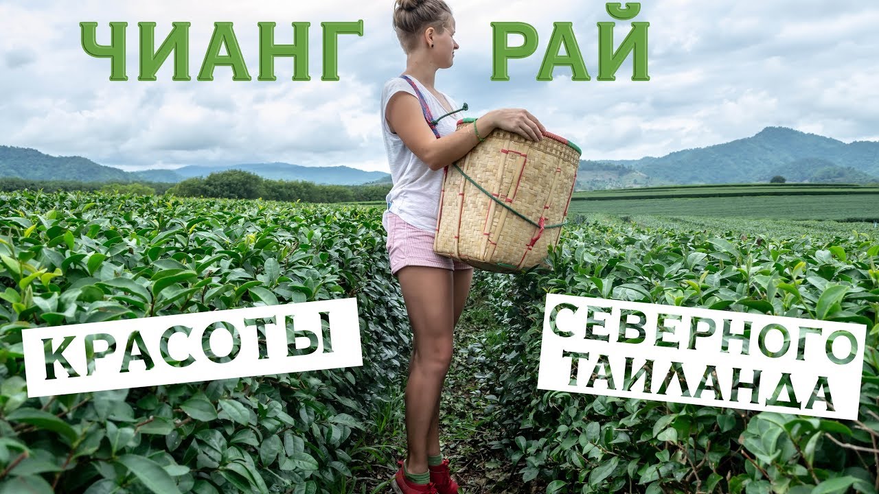 ЛУЧШИЕ МЕСТА НА СЕВЕРЕ ТАИЛАНДА ⛪ ЧИАНГРАЙ ⛪ БЕЛЫЙ ХРАМ, СИНГХА ПАРК И ДРУГИЕ ДОСТОПРИМЕЧАТЕЛЬНОСТИ
