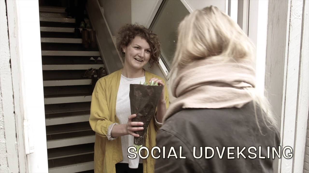 Hvad Er Antropologi?