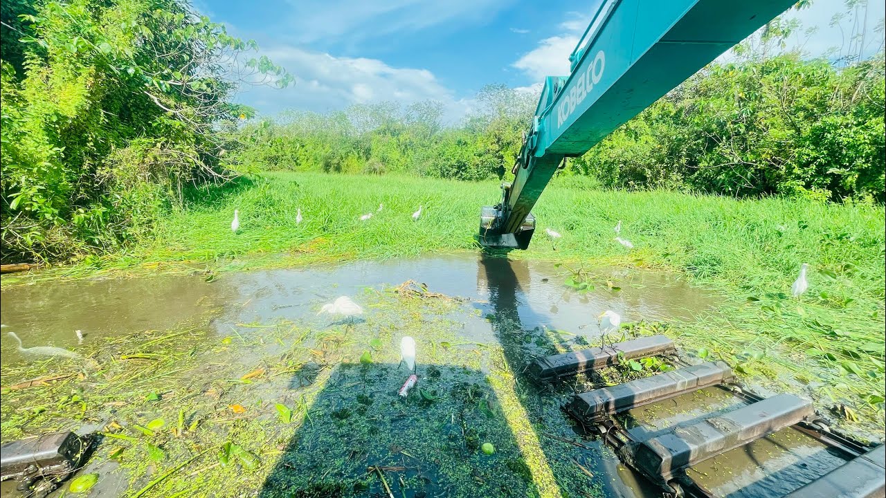 Clearing River Weeds with the Amphibious Excavator | Heavy Machine at Work 💪💪💪