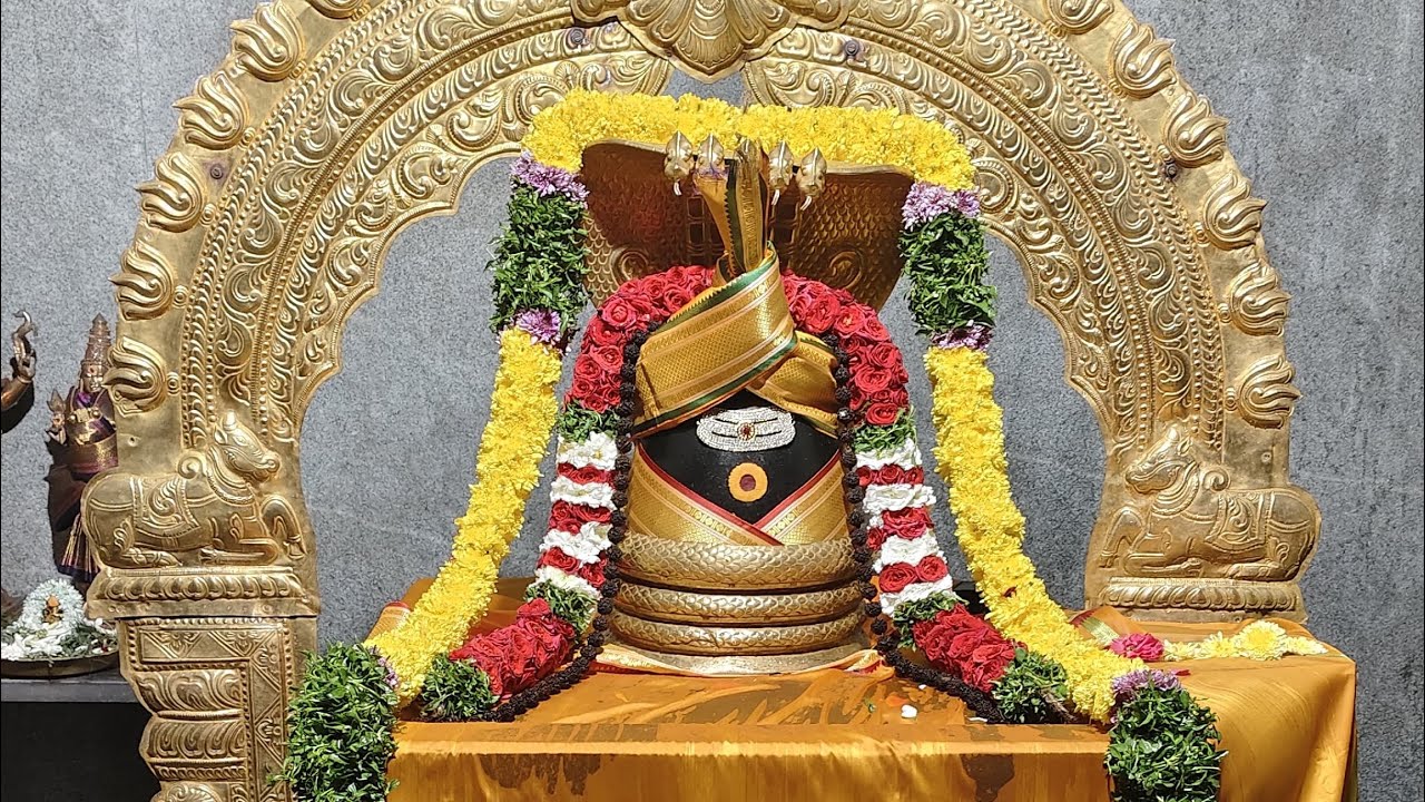 I Tried The Ritual That Promises To Make You Rich