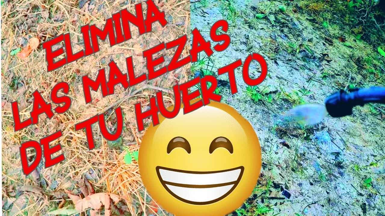 COMO APLICAR GLIFOSATO