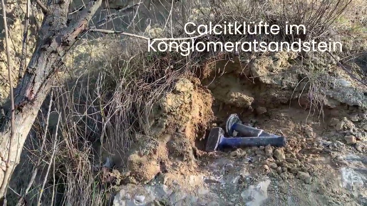 Sandgrube Enzersdorf an der Fischa.  Calcit
