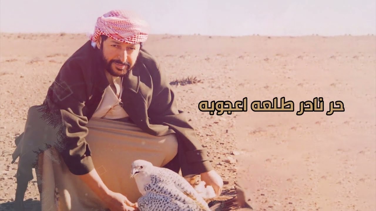 سيف الضامي - القصايد كلها صوبه | 2024