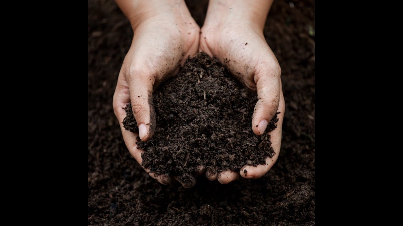 ¿PUEDO MEZCLAR HUMUS DE LOMBRIZ CON FERTILIZACIÓN QUÍMICA?
