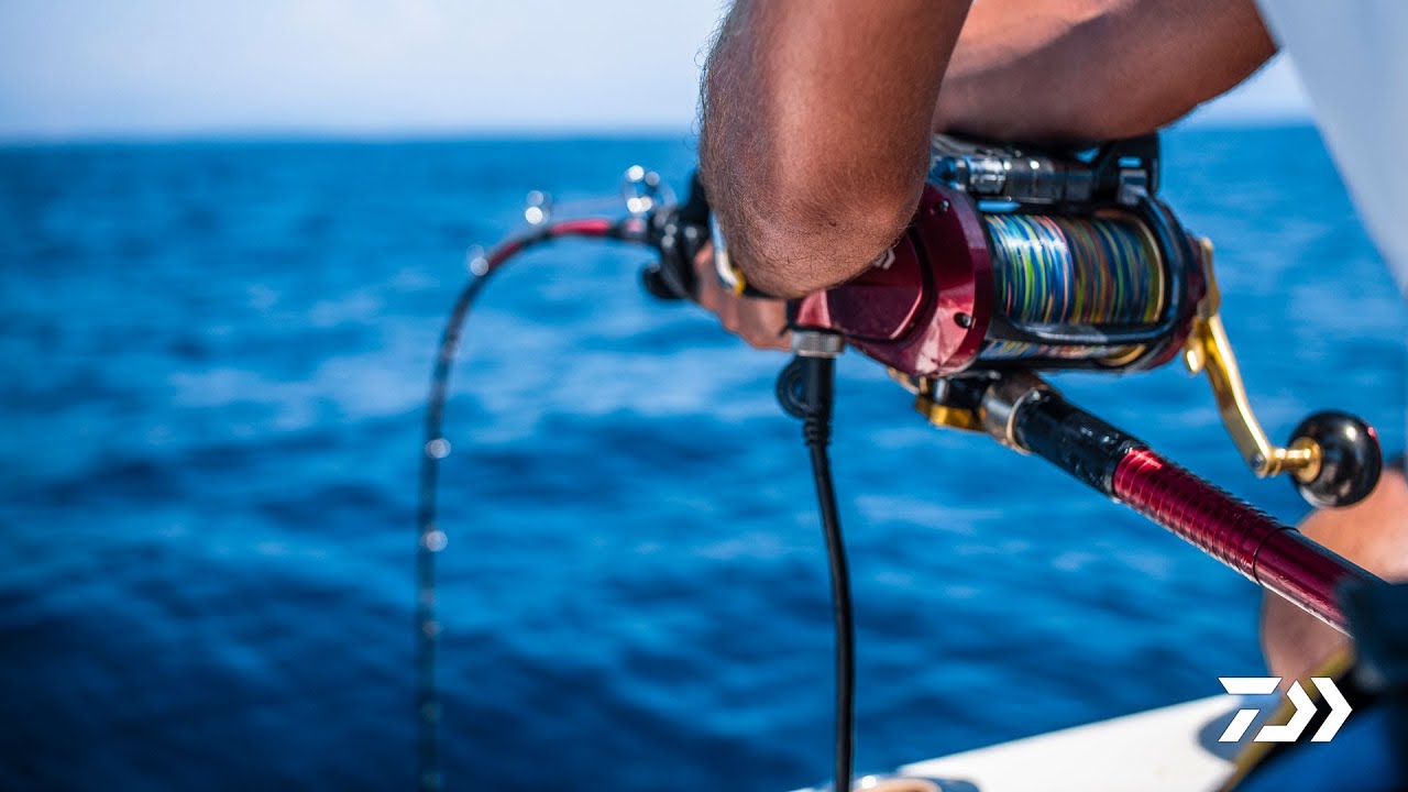 Daiwa - Seaborg 1200 MJ King of the sea