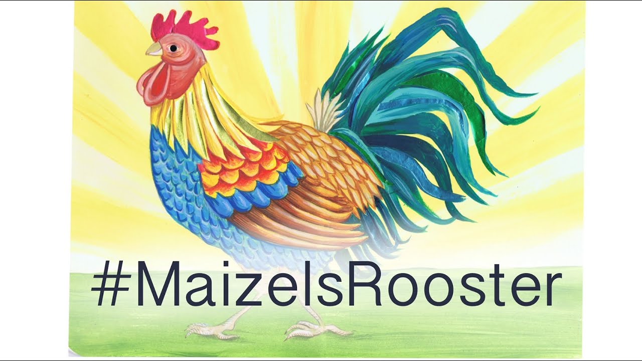 #MaizelsRooster