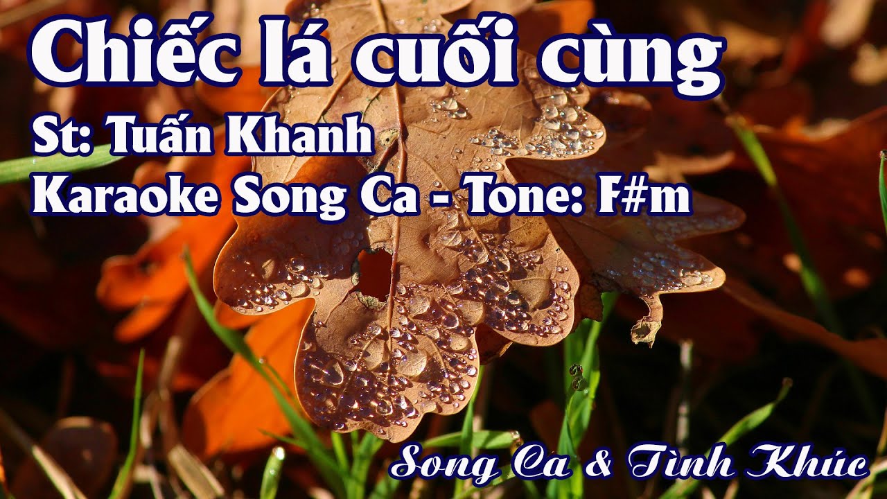 Karaoke Song Ca Chiếc Lá Cuối Cùng | Song Ca & Tình Khúc