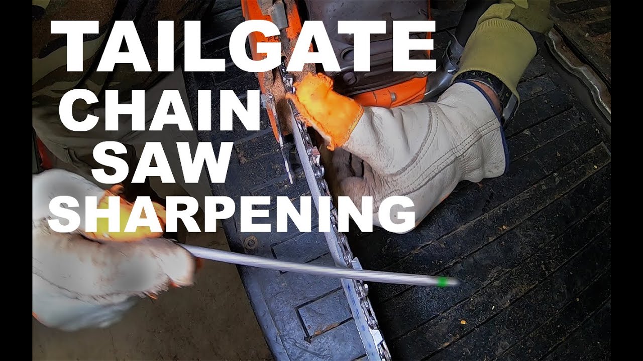 How to sharpen a chainsaw with a HAND FILE - #600
