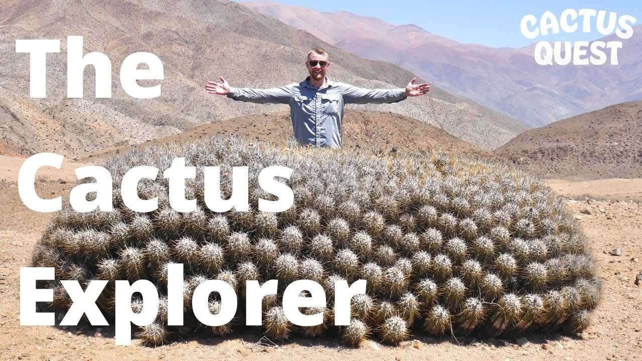THE CACTUS EXPLORER INTERVIEW: COPIAPOA & CONSERVATION