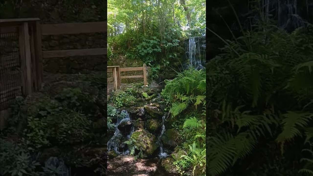 Rainbow Springs, Florida,  4/23/24