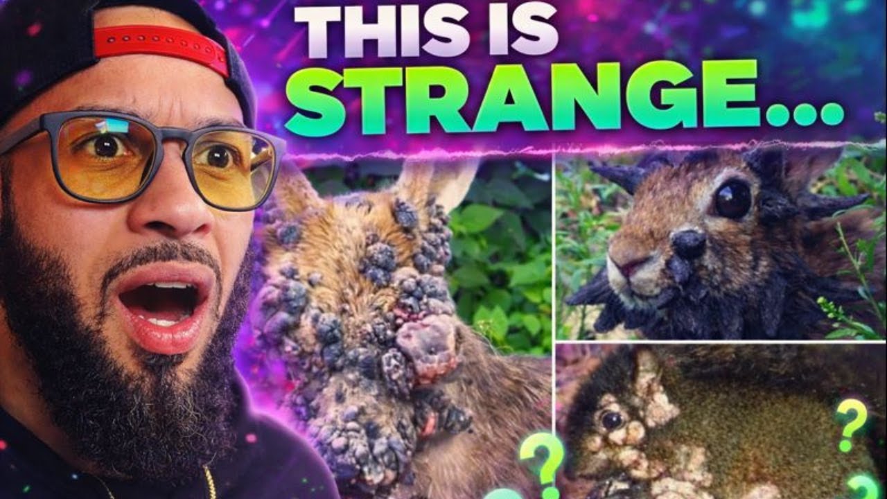 TIK TOKS SO CREEPY THEY WILL MAKE YOU QUESTION REALITY!
