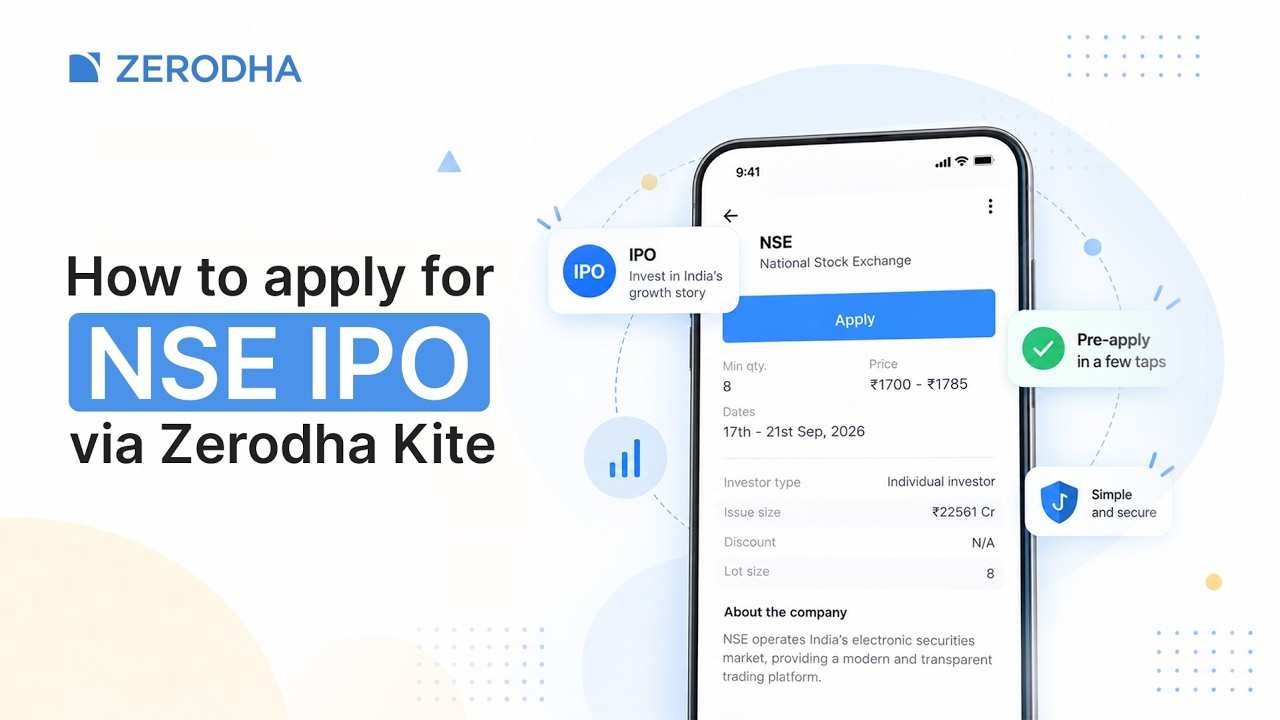 IPO NSE: бизнес-модель, финансовые показатели, риски и как подать заявку