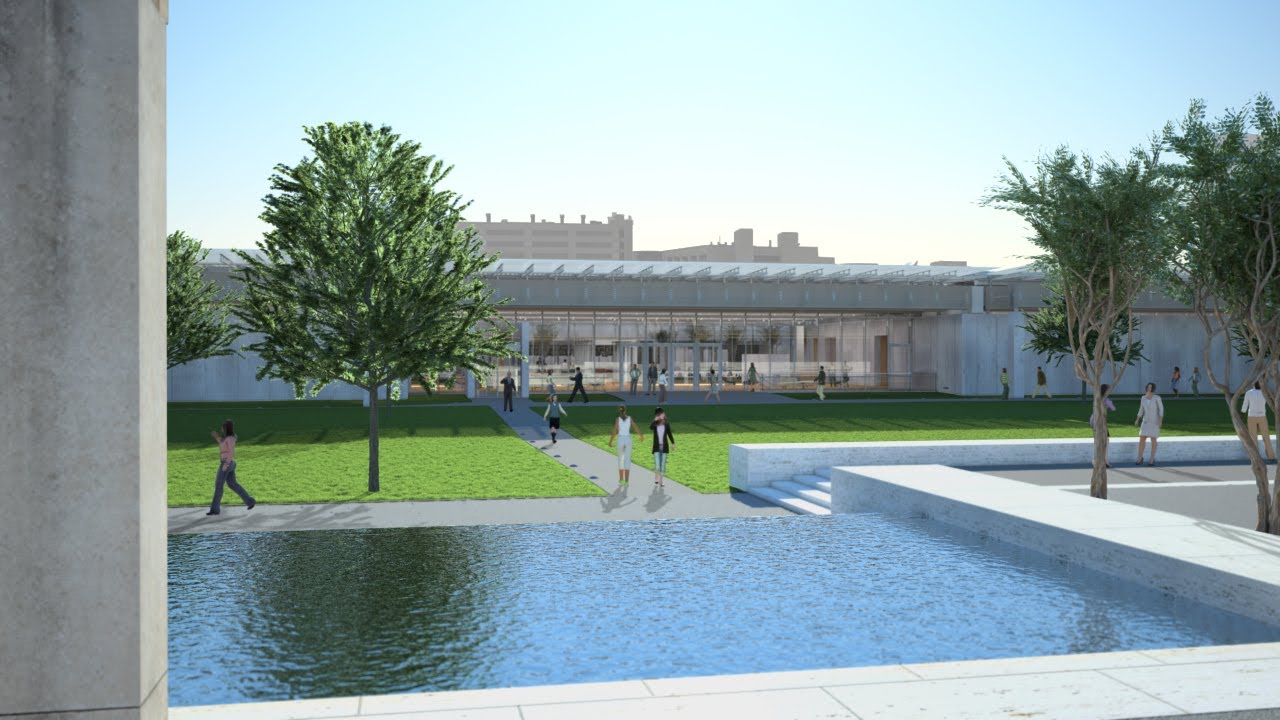 Kimbell Art Museum | Renzo Piano Pavilion - Crowds