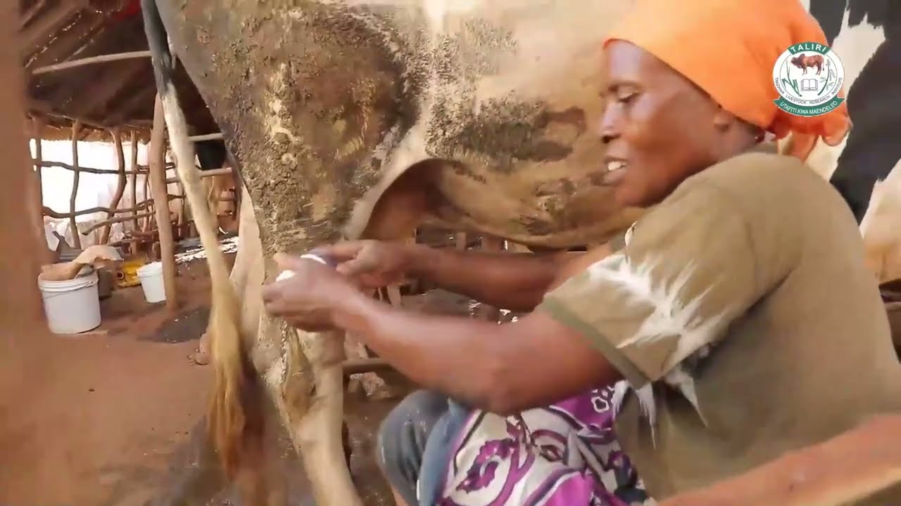 BAADHI YA SHUGHULI ZINAZOFANYWA TALIRI KANDA YA MASHARIKI.