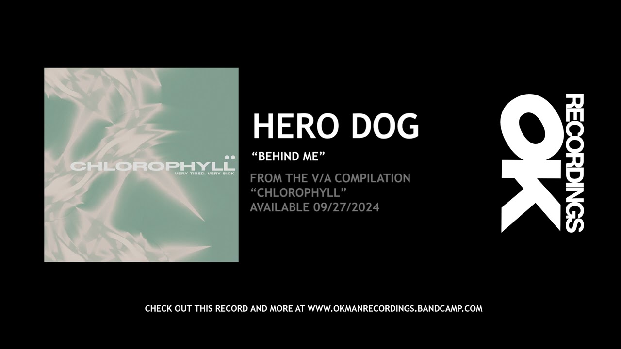 Hero Dog - 