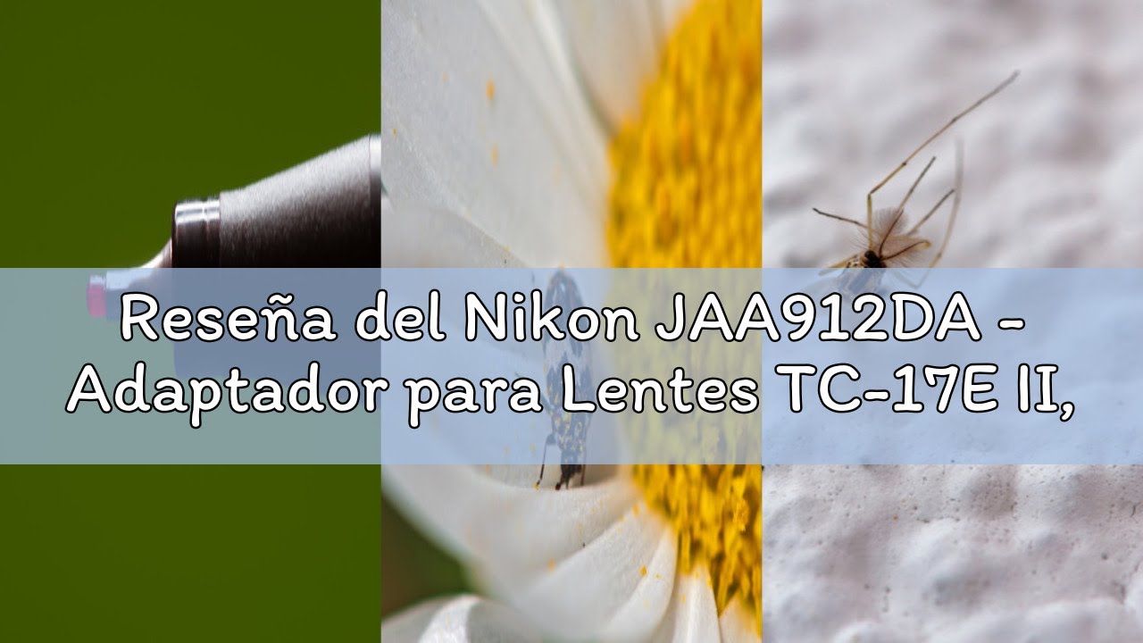 Reseña del Nikon JAA912DA - Adaptador para Lentes TC-17E II, Negro