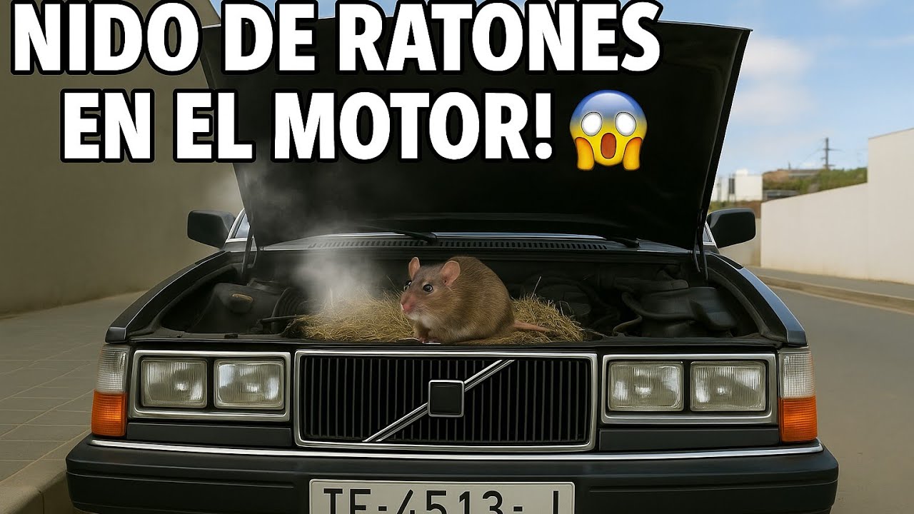 Arrancará a la primera después de meses?? .Volvo 264 GLE. ¿Sabéis significado de las siglas? Cap 2.