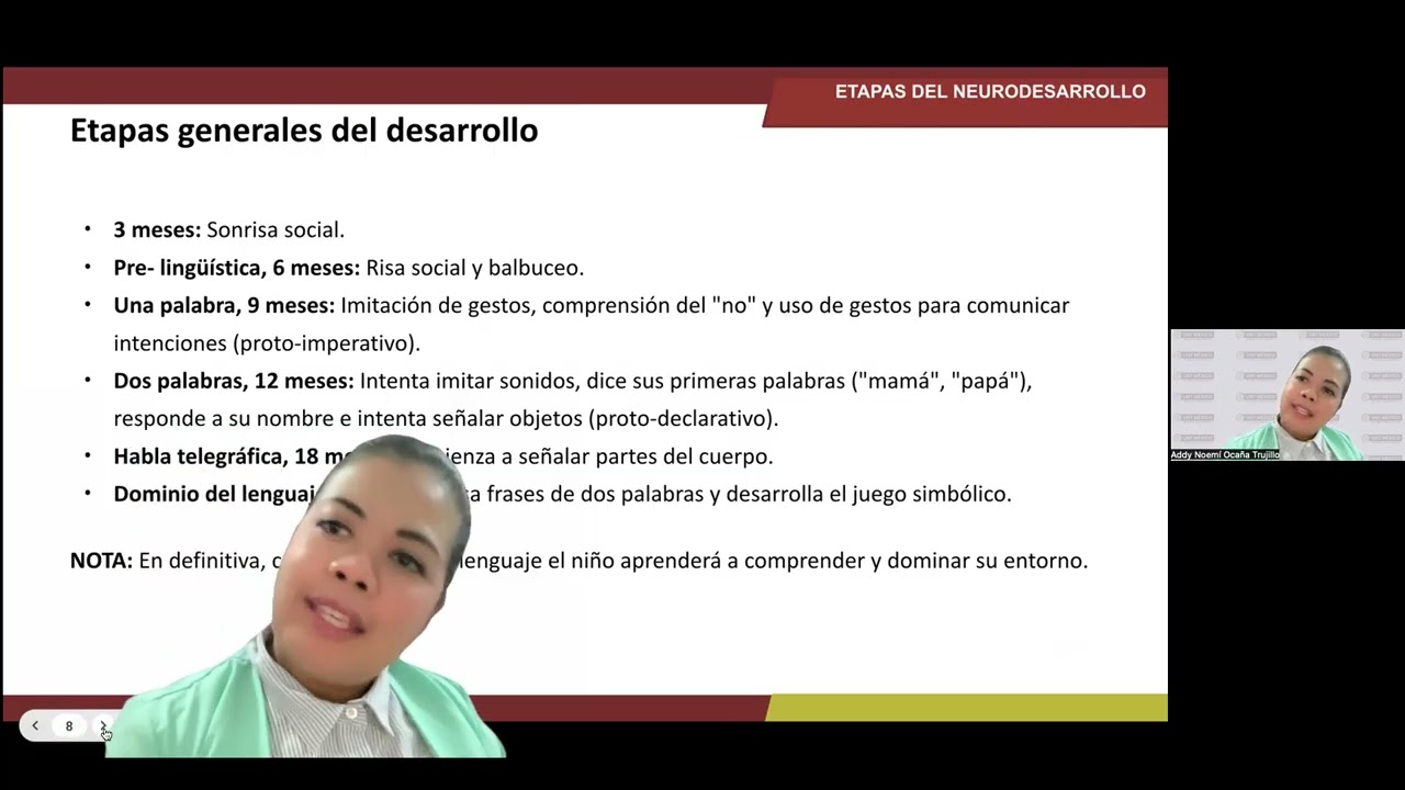 Etapas del Neurodesarrollo 2.3