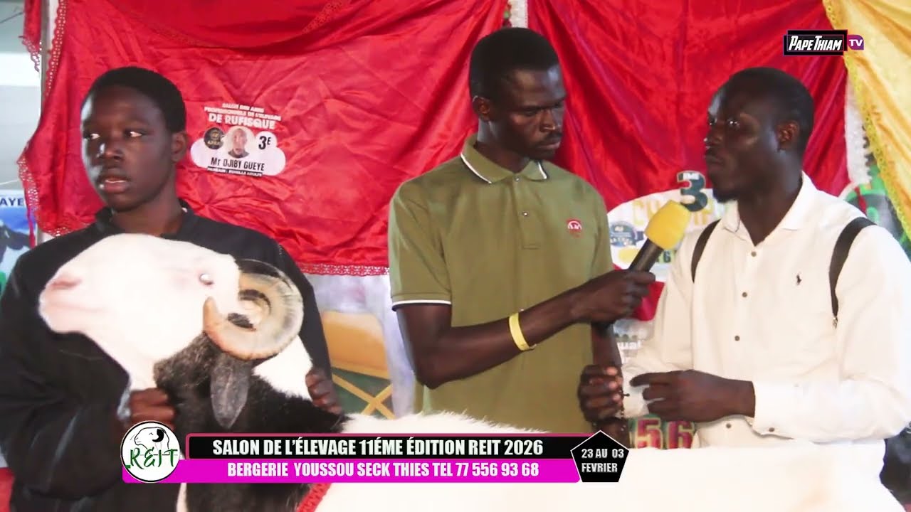 Beregerie youssou seck thies a la foire de reit 