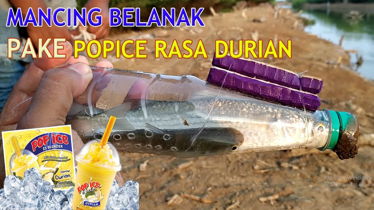 Bukan DURIAN asli tapi Pop Ice Rasa Durian - [ umpan gacor mancing ikan belanak boncos ]