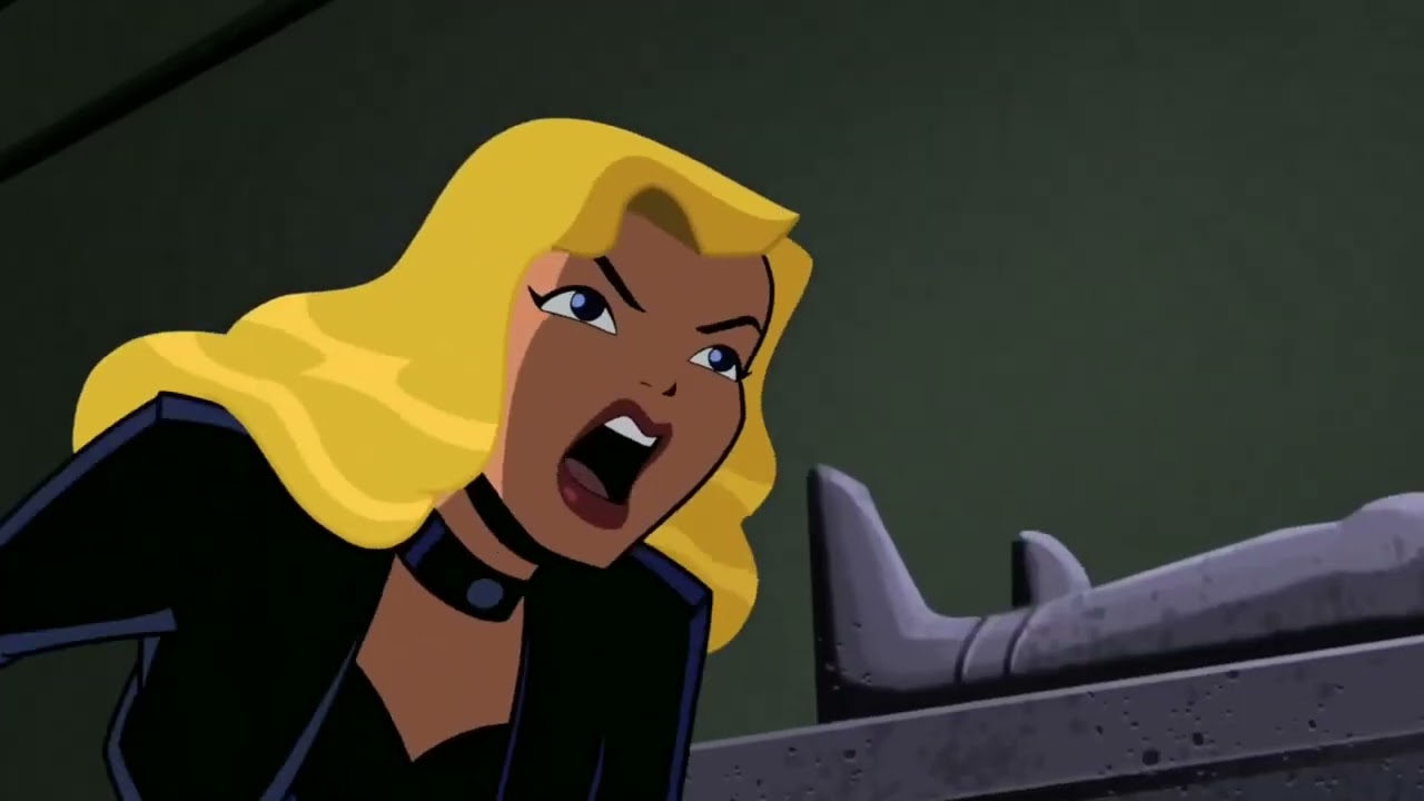 Sonic scream powers - Black Canary   Powers & Fight Scenes DCAU