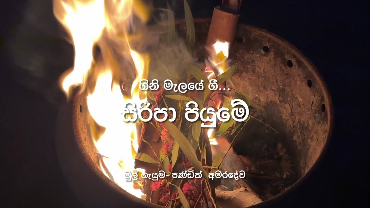 Siripa Piyume - Fire Pit Songs | සිරිපා පියුමේ - ගිනි මැලයේ ගී
