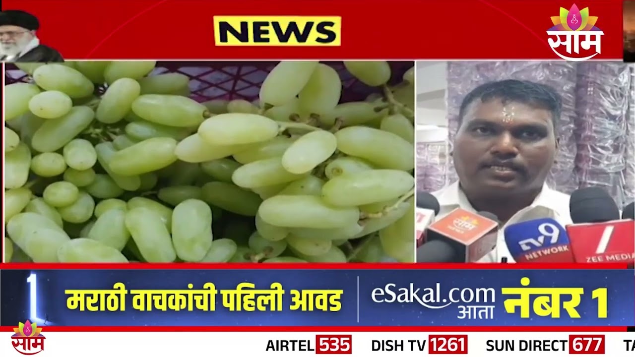 युद्धाचा फटका! 350 कंटेनर द्राक्ष कोल्ड स्टोरेज मध्ये |grape export gulf crisis |US Iran War Impact