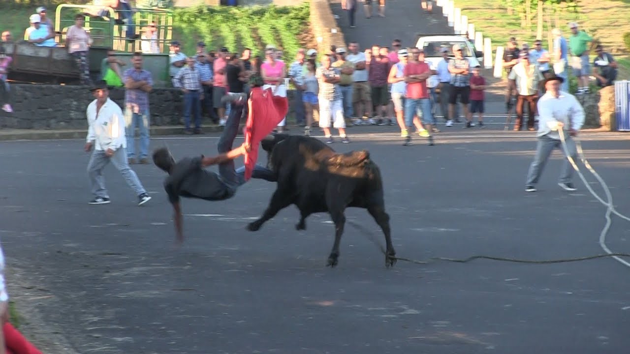Tourada com Marrada - Rosais 2018 - Ilha S&atilde;o Jorge A&ccedil;ores