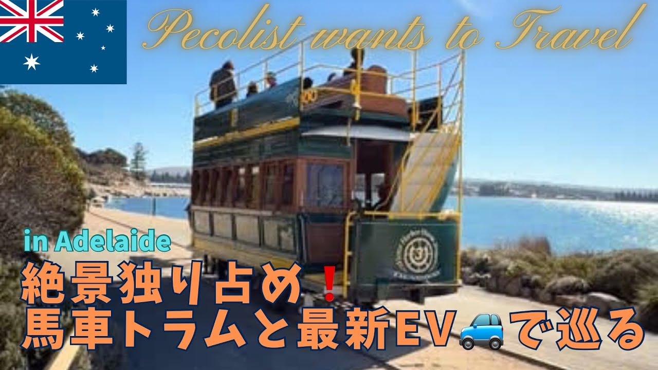 【アデレード、絶景のビクターハーバーへ❗️】ペコリスト旅に出る‼️まさかのウマトラムと⚡️レンタカーに乗ってきた編  #オーストラリア旅行 #アデレード #adelaide#馬車トラム