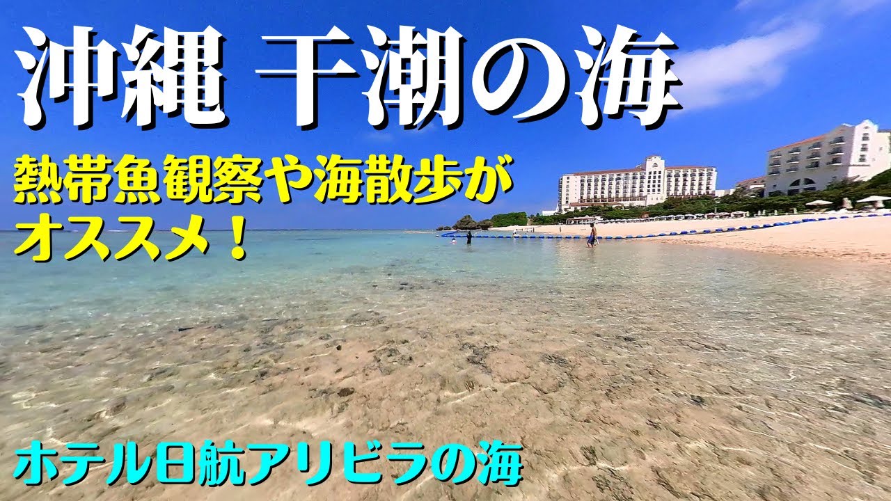 【沖縄の海】干潮時の海は遠浅になって泳げなくなりますが、そんな時でも沖縄の海を満喫できる海散歩を紹介します！沖縄旅行や沖縄観光にもオススメです！