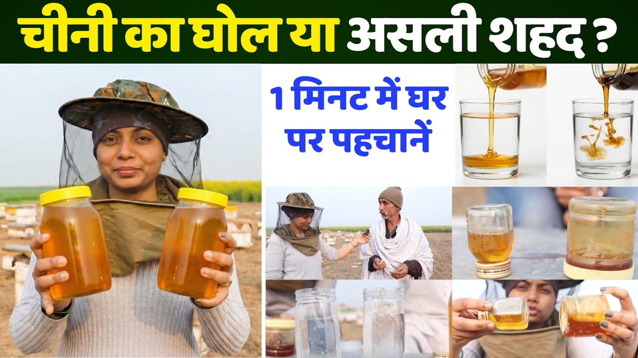 चीनी का घोल या असली शहद 😱 घर करें Honey Purity Test, How to Identify Fake/Real Honey